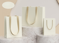 hot selling personalizable simple design paper bag 9 colors SP209