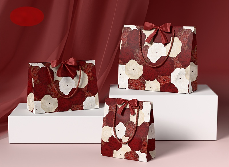 Multiple design ribbon bow practical gift bag SP244