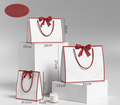 Multiple design ribbon bow practical gift bag SP244